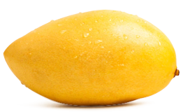 Mango extract